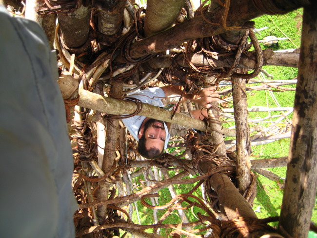 Thumbnail Photo